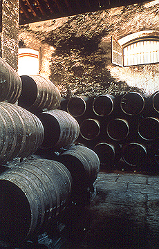 Cantina d'invecchiamento del Brandy spagnolo