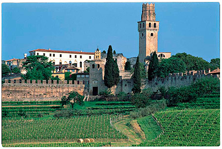 Castello di San Salvatore Collalto e vigneti
