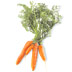 Flan di carote 